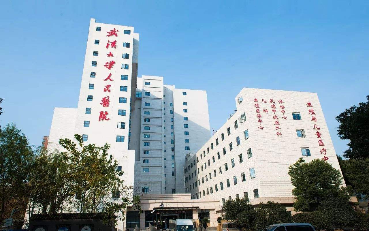 武汉大学人民医院(湖北省人民医院)
